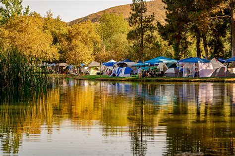 Lakeside Camping – Nocturnal Wonderland 2024