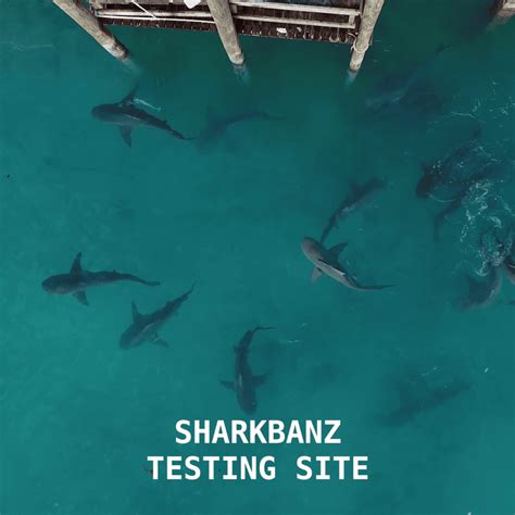 Sharkbanz - Research & Product Testing