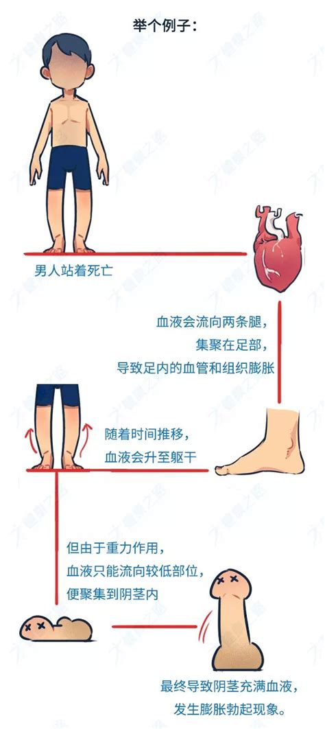 18禁丨带你来见识一下，这个世界上最大的丁丁~健康之路