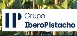 Asaja El Grupo IberoPistacho Invierte En Planta Injertada De Calidad