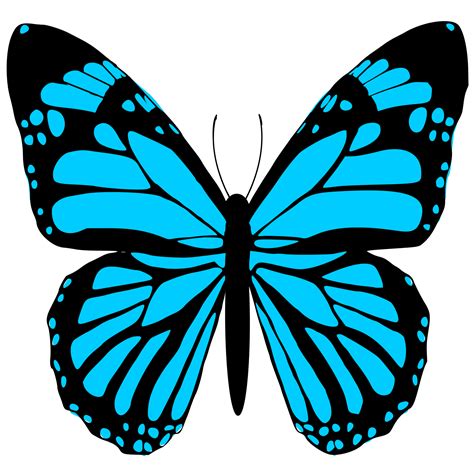 Light Blue Butterfly 24134734 PNG