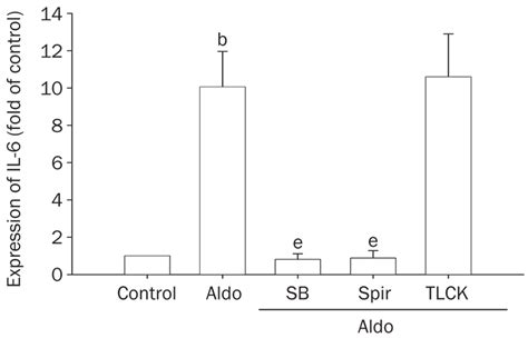 The Expression Of IL 6 In VSMCs Induced By Aldosterone Aldo The