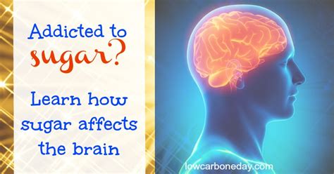 Addicted To Sugar Learn How Sugar Affects The Brain Holistically Engineered