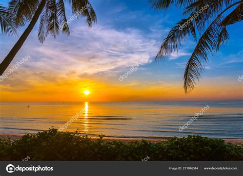 Tropical Beach Landscapes