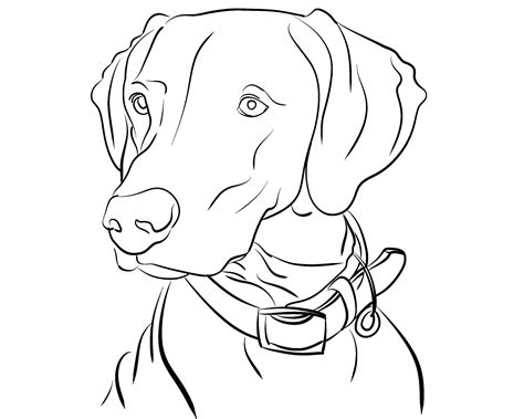 Dog Drawing Printable