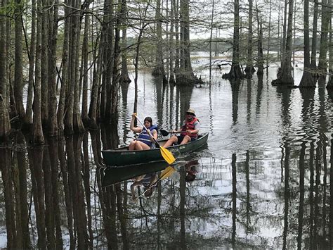Umi starkville ms dining experiences are boosting the local economy 21