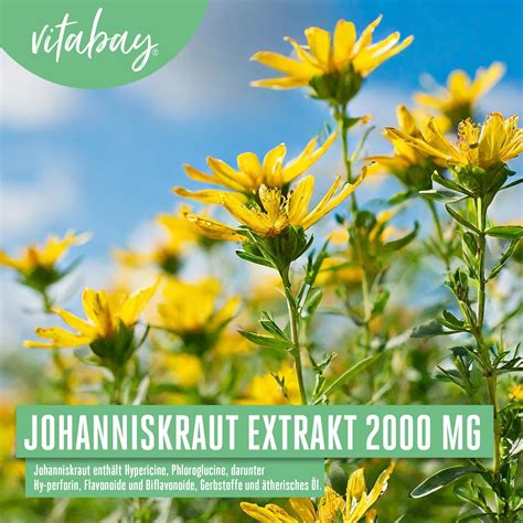 Vitabay Johanniskraut Extrakt 2000 Mg 90 St Shop Apotheke