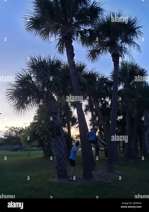 Manatee sanctuary park cape canaveral hi-res stock photography and ...