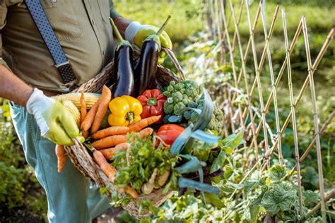 Beneficios de las verduras y hortalizas Mercado Barceló