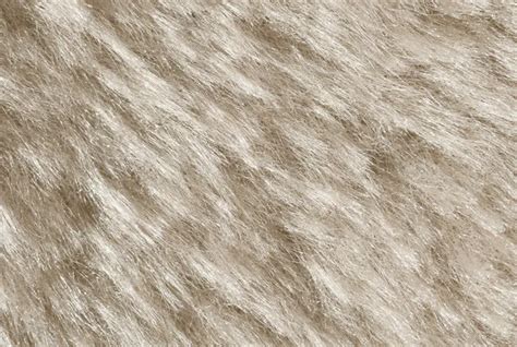 white fur background stock photo  appleeyesstudio