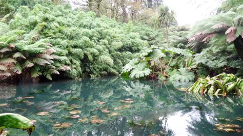 The Lost Gardens of Heligan - Salty Songs - Cornish Blog