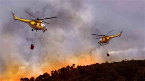 Tenerife Planifica Los Medios Aéreos Necesarios En La Lucha Contra Incendios Forestales