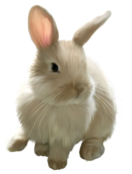 Bunny Pictures Animal Pictures Cute Pictures Beatrix Potter Animals