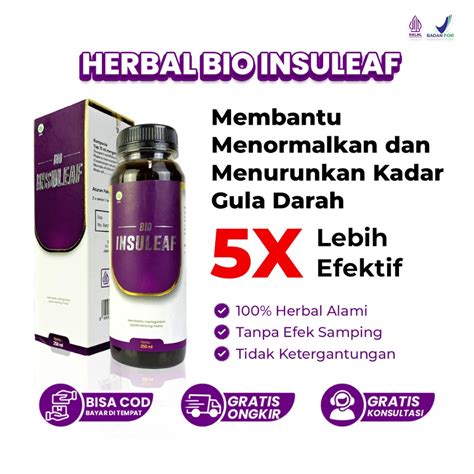 Jual Bio Insuleaf Herbal Original Solusi Atasi Kencing Manis