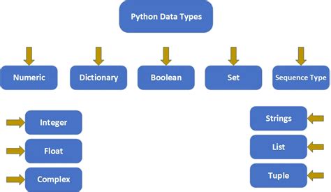 Basic Data Types In Python With Examples Oksim