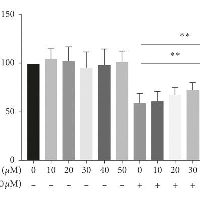 Cell Viability Of Huvecs Treated With Curcumin And H O A Treatment