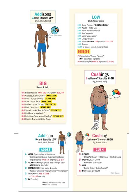 Addisons Vs Cushings Disease Medical Surgery Studocu