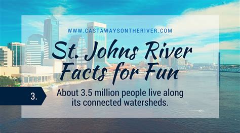 St. Johns River Facts for Fun - Castaways On The River