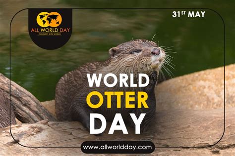 World Otter Day 2023: Theme, History, Quotes, Date, Celebration