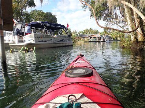 Dave's Yak Tales: Kings Bay, Crystal River