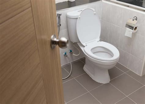 Best Flushing Toilet in 2022 [7 Reviews and Buying Guide]