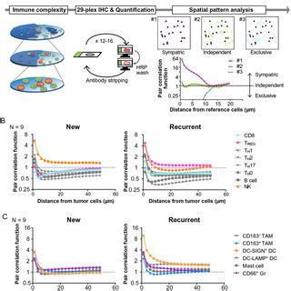 Multiparameter Cytometric Image Analysis Toward Quantification Of The