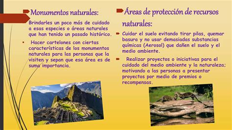 Cómo cuidar las áreas naturales protegidas PPT