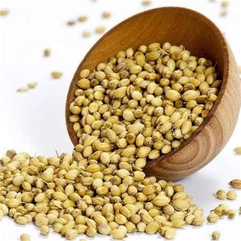 Brown Variety SINDHU Dried Coriander Seed Form Seeds At Rs 150 Kg In