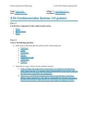 Understanding The Cardiovascular System Components Functions