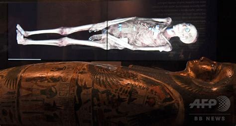 古代エジプトのミイラの内部、最新技術で初めてあらわに 写真7枚 国際ニュース：afpbb News