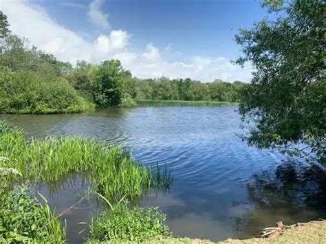 Backwell Lake, Nailsea | Willow Chiropractic