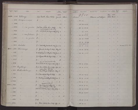 Peromyscus maniculatus gambelii | Smithsonian Institution
