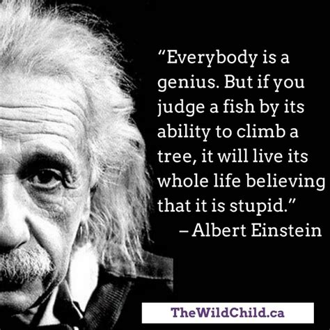 Inspirational Education Quotes Einstein Quotes For Mee