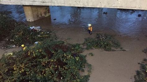 Flooded Trailer Park Homeless Camp Evacuated In Puyallup Katu