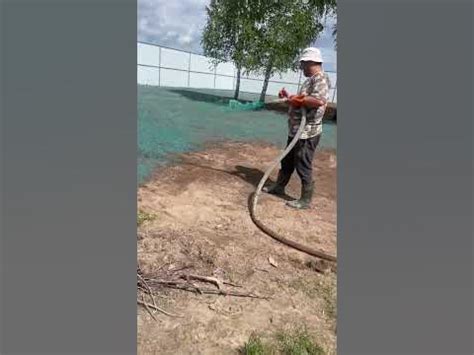 #гидропосев #газон #ярославль #гидропосевгазона - YouTube