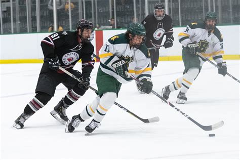 Ice Hockey Vs Potsdam 01252020 Photo By Sam Cherubin Flickr