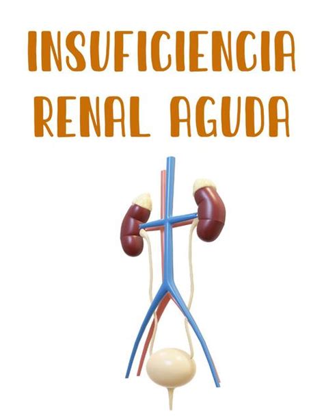 Insuficiencia Renal Aguda PDF Medicina Zip UDocz