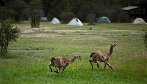 Explora Se Adjudica Servicios Ecotur Sticos En El Parque Nacional