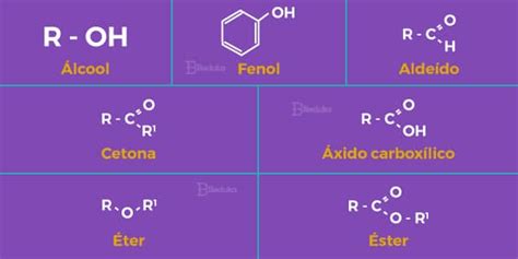 Funções Orgânicas Matéria Completa Ilustrada Introdução à Química