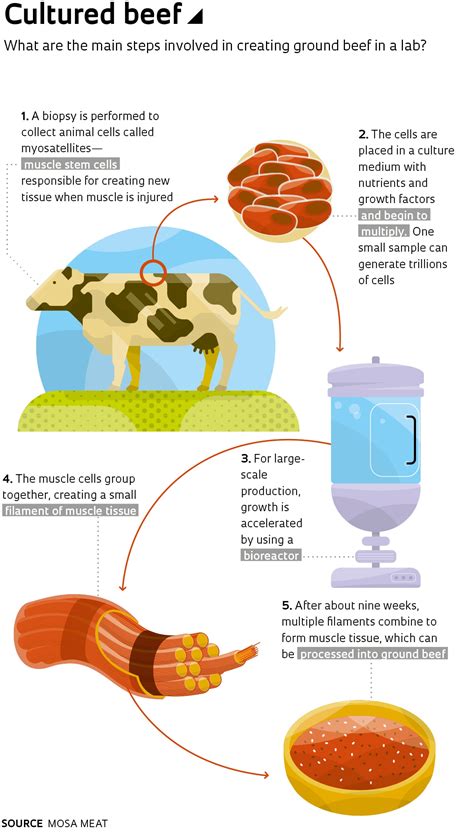 Lab Grown Meat Cost 2021 at Kate Terry blog