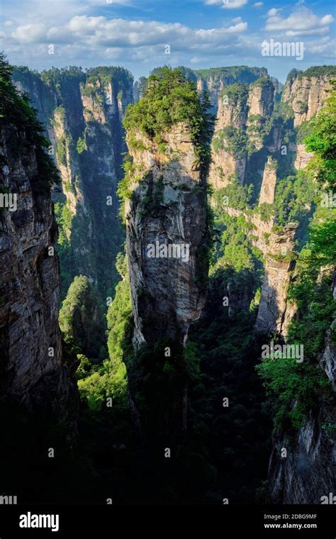 Famous Tourist Attraction Of China Avatar Hallelujah Mountain In