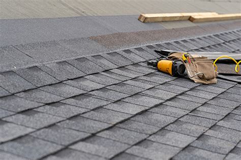 Does Moss Cause Problems With Roofs Clark S Gables Roofing