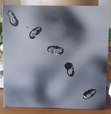 La mia testa suona così - Parliamo un po' di musica