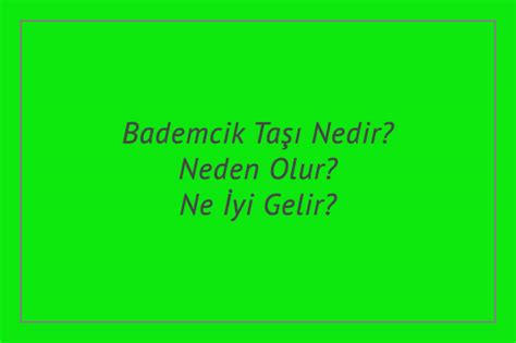 Bademcik Taşı Nedir Neden Olur Ne İyi Gelir