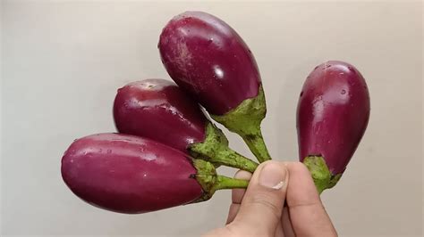 Yummy Brinjal Recipe যারা বেগুন পছন্দ করেন তারা এই রেসিপিটি অবশ্যই