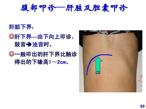 2腹部评估4word文档在线阅读与下载无忧文档