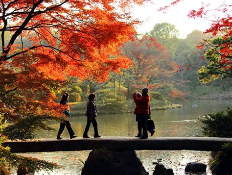 都内でも絶景！“意外と知らない”東京の紅葉スポット25選【2024】 トラベルjp 旅行ガイド