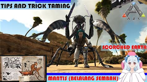 Ark Survival Evolved Mantis Taming Tutorial Untuk Pemula Scorched