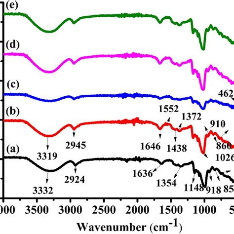 Sem Micrographs Of Pullulan Collagen Blend Films Doped With Different