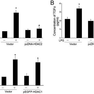 Overexpression Of HDAC2 Represses LPS Induced Expression Of TGF A